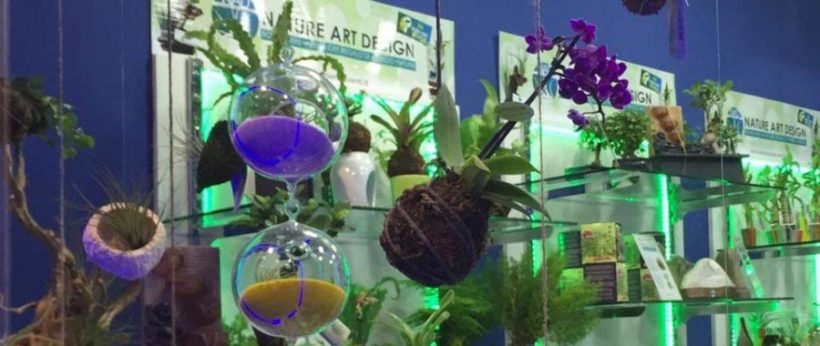 Nature Art Design